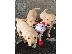 PoulaTo: Κουτάβια Labradoodle